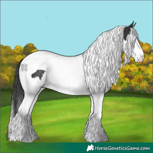 Horse Color:Black Splash Tobiano 