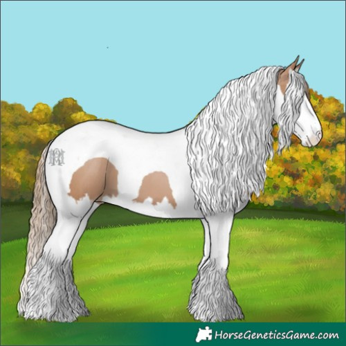 Horse Color:Black Pearl Splash Tobiano 