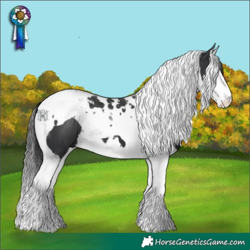 Horse Color:Black Splash Tobiano