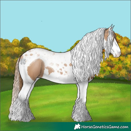 Horse Color:Black Pearl Splash Tobiano 