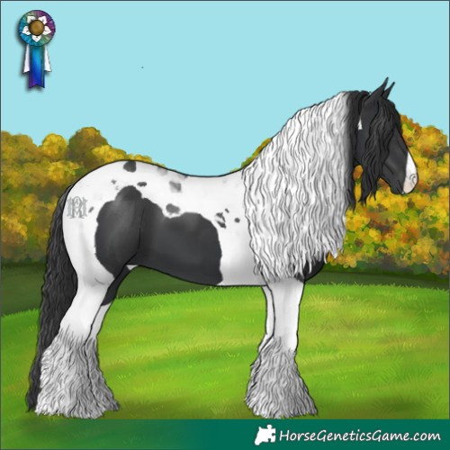 Horse Color:Black Tobiano