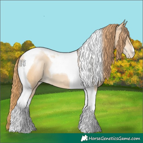 Horse Color:Smoky Black Pearl Tobiano