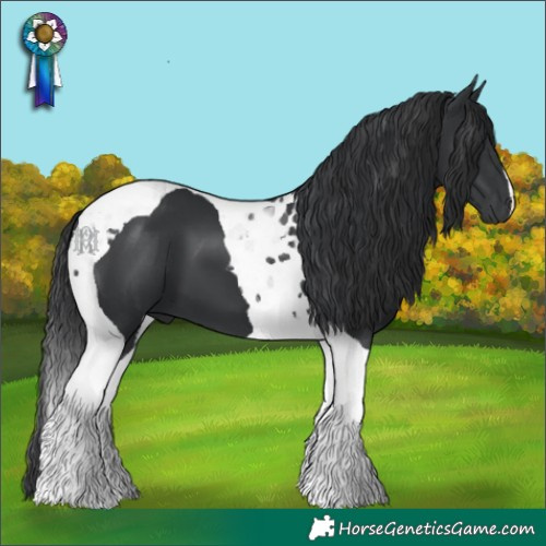 Horse Color:Black Tobiano