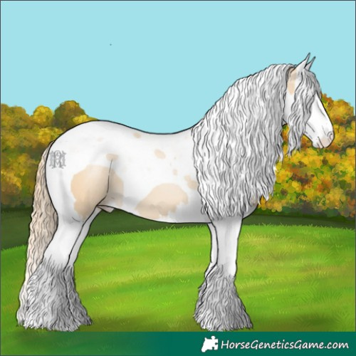 Horse Color:Smoky Black Pearl Splash Tobiano
