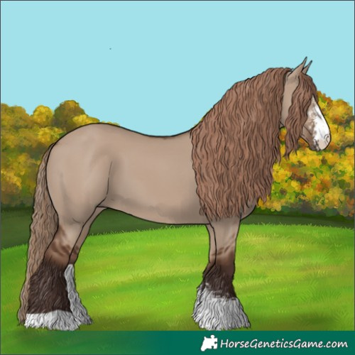 Horse Color:Liver Red Dun Sabino 