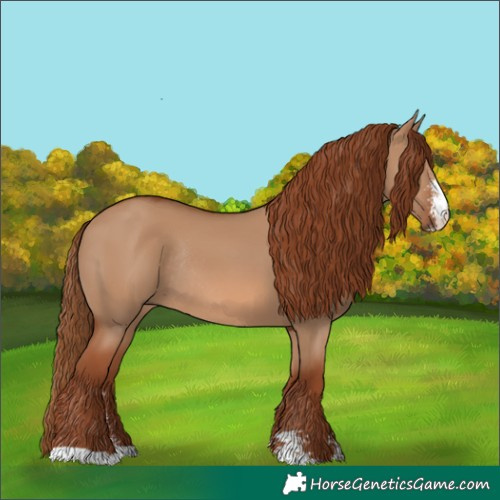 Horse Color:Red Dun Sabino Rabicano