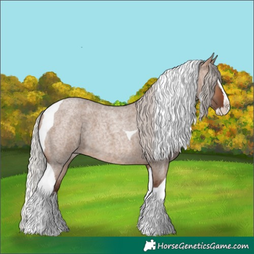 Horse Color:Silver Brown Roan Dun Splash Tobiano 