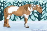 Horse Color:Gray Bay Brindle