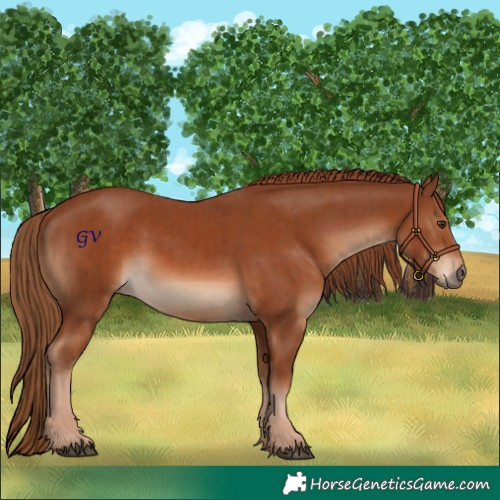 Horse Color:Chestnut and Chestnut