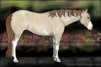 Horse Color:Liver Red Dun Roan Sabino 
