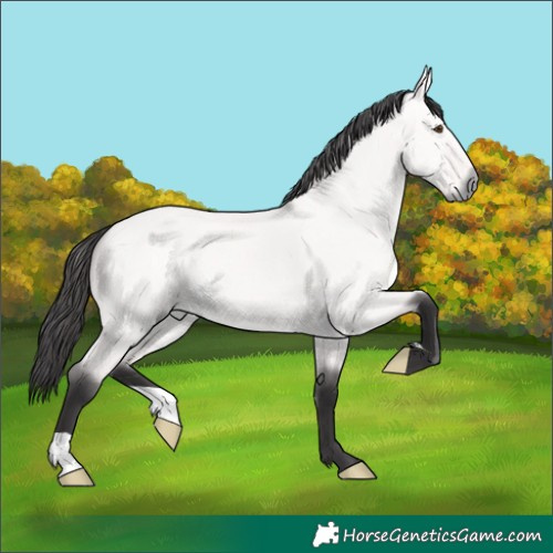 Horse Color:Platinum Buckskin Dun Brindle 