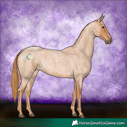 Horse Color:Red Roan