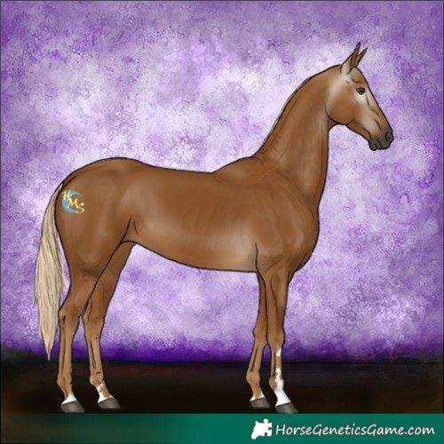 Horse Color:Gray Palomino 