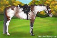 Horse Color:White Spotted Bay Frame 