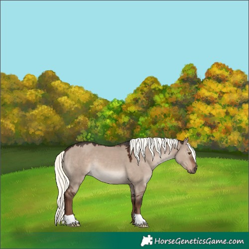 Horse Color:Liver Red Dun Mushroom