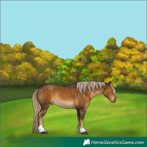 Horse Color:Chocolate Palomino Mushroom Rabicano