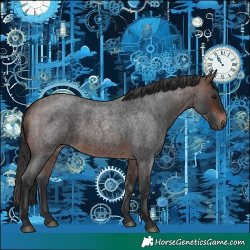 Horse Color:Brown Roan 