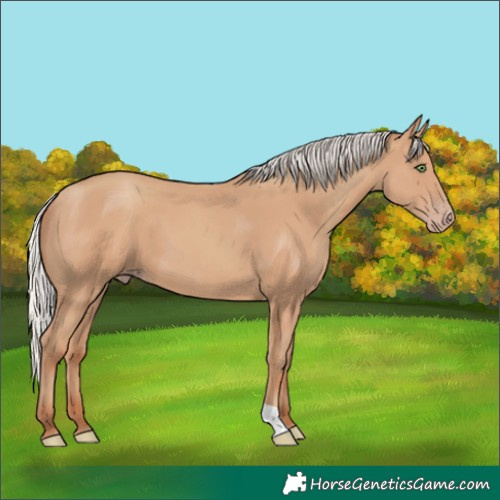 Horse Color:Silver Classic Champagne 