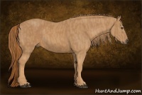 Horse Color:Chestnut Brindle