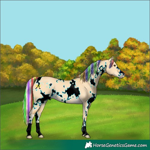 Horse Color:Painted White Spotted Palomino Dun