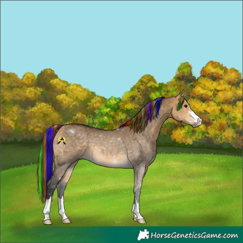 Horse Color:Painted Buckskin Dun