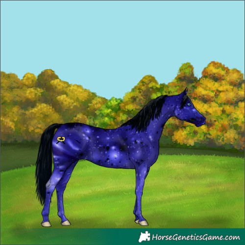 Horse Color:ERROR: UNKNOWN ANOMALY