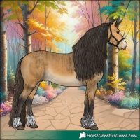 Horse Color:Buckskin and Buckskin