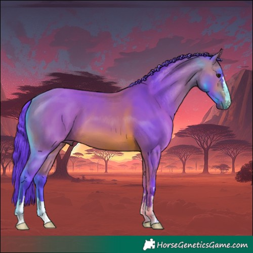 Horse Color:Watercolor Bay 