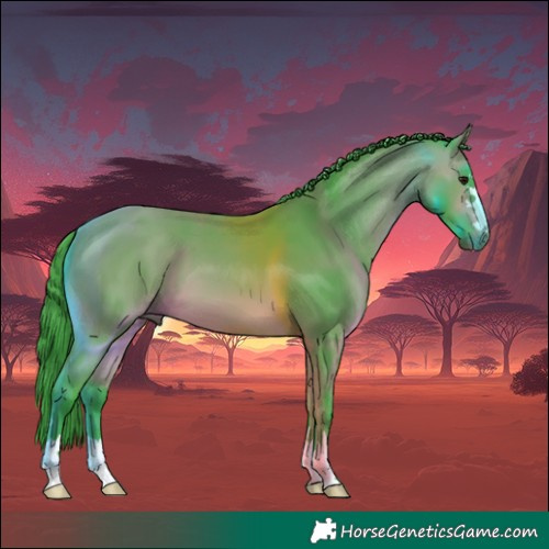 Horse Color:Watercolor Bay 