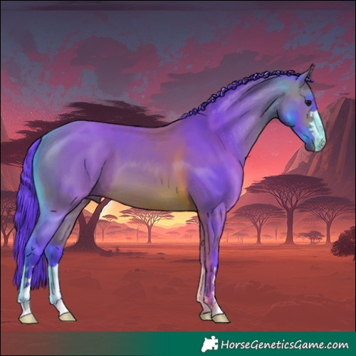 Horse Color:Watercolor Bay 