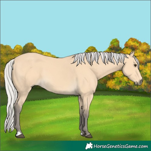 Horse Color:Silver Buckskin
