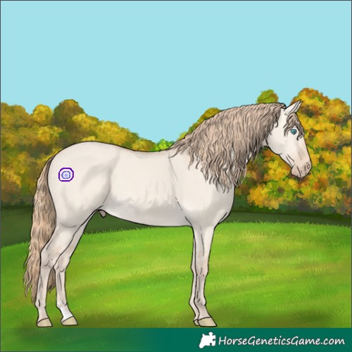 Horse Color:Perlino Dun