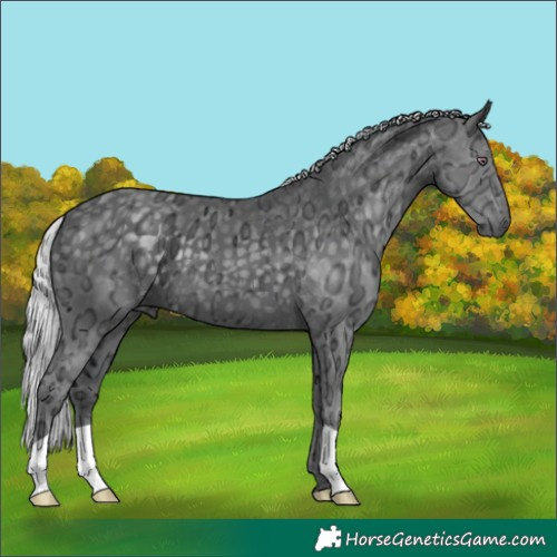 Horse Color:Silver Black Chinchilla Ice 