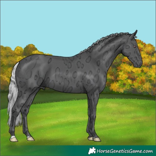 Horse Color:Silver Black Chinchilla Ice 