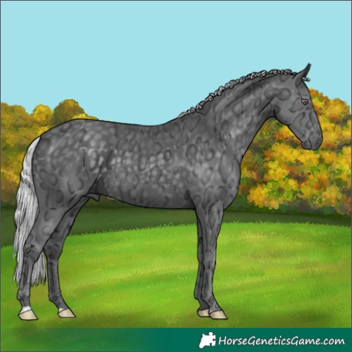 Horse Color:Silver Black Chinchilla Ice