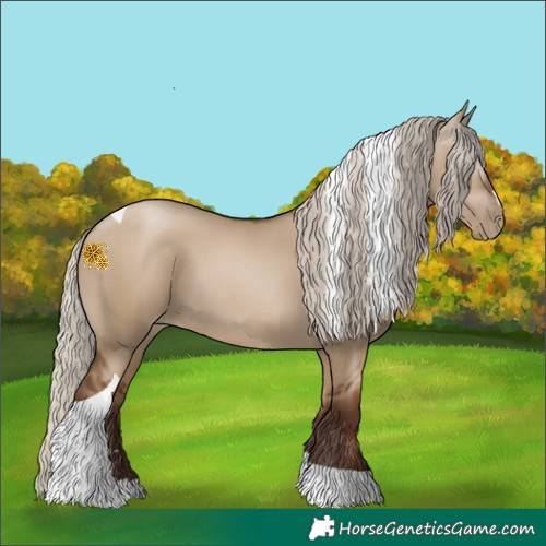 Horse Color:Gray Silver Grullo Pearl Tobiano 