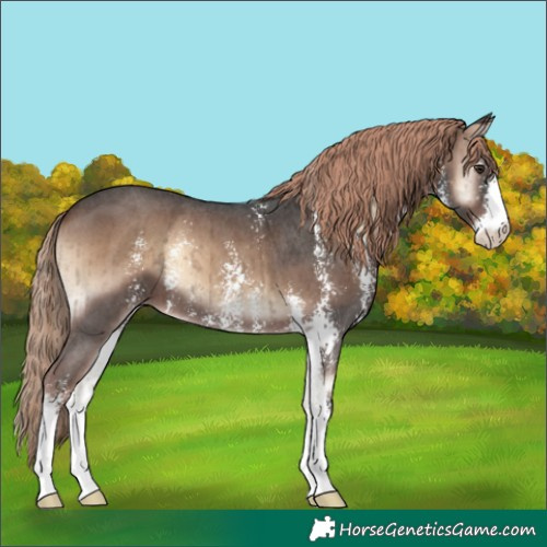 Horse Color:Liver Red Onyx Sabino Brindle