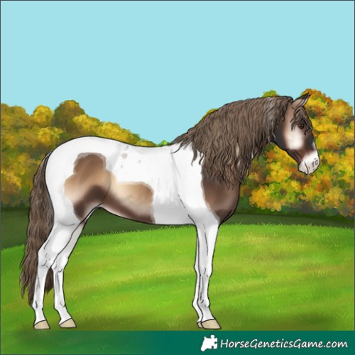 Horse Color:Liver Red Onyx Tobiano
