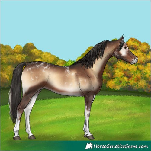 Horse Color:Liver Red Onyx Tobiano