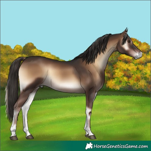 Horse Color:White Spotted Liver Red Onyx 