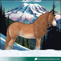 Horse Color:Chestnut  and Chestnut 
