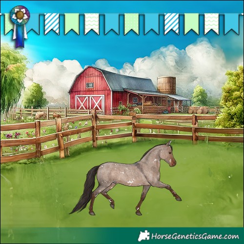 Horse Color:White Spotted Liver Red Dun Roan Rabicano 
