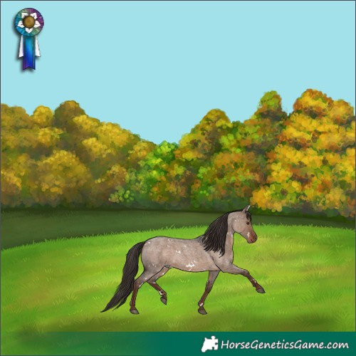 Horse Color:White Spotted Liver Red Dun Roan Rabicano