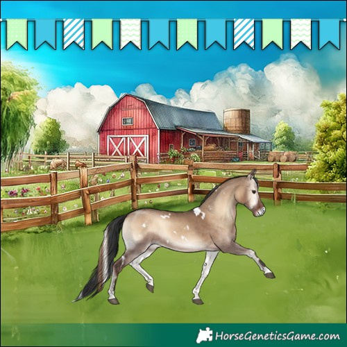 Horse Color:White Spotted Liver Red Dun Onyx Rabicano