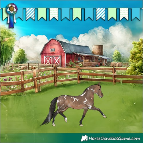 Horse Color:White Spotted Brown Dun 