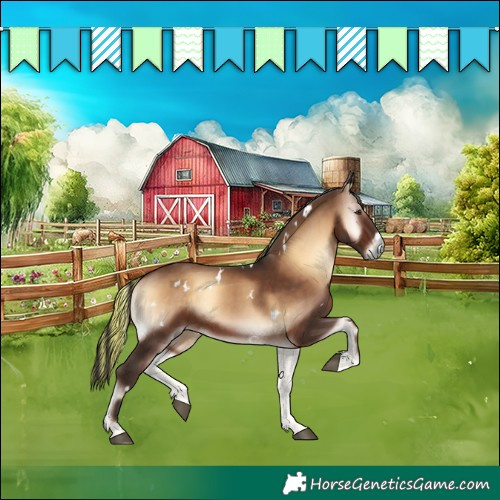 Horse Color:Painted White Spotted Liver Red Onyx Rabicano