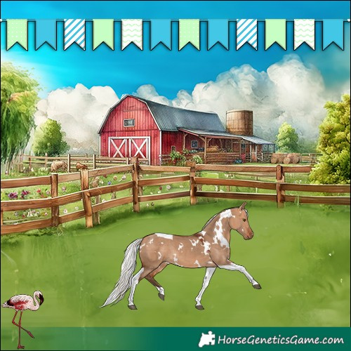 Horse Color:White Spotted Silver Bay Dun Tobiano Rabicano