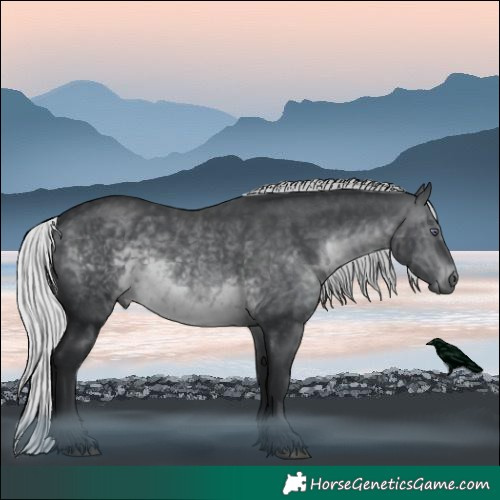Horse Color:Silver Brown Chinchilla