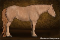 Horse Color:Chestnut Brindle