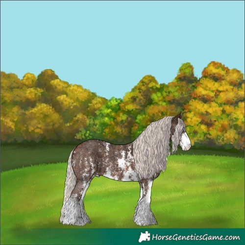 Horse Color:Silver Bay Ice Sabino 
